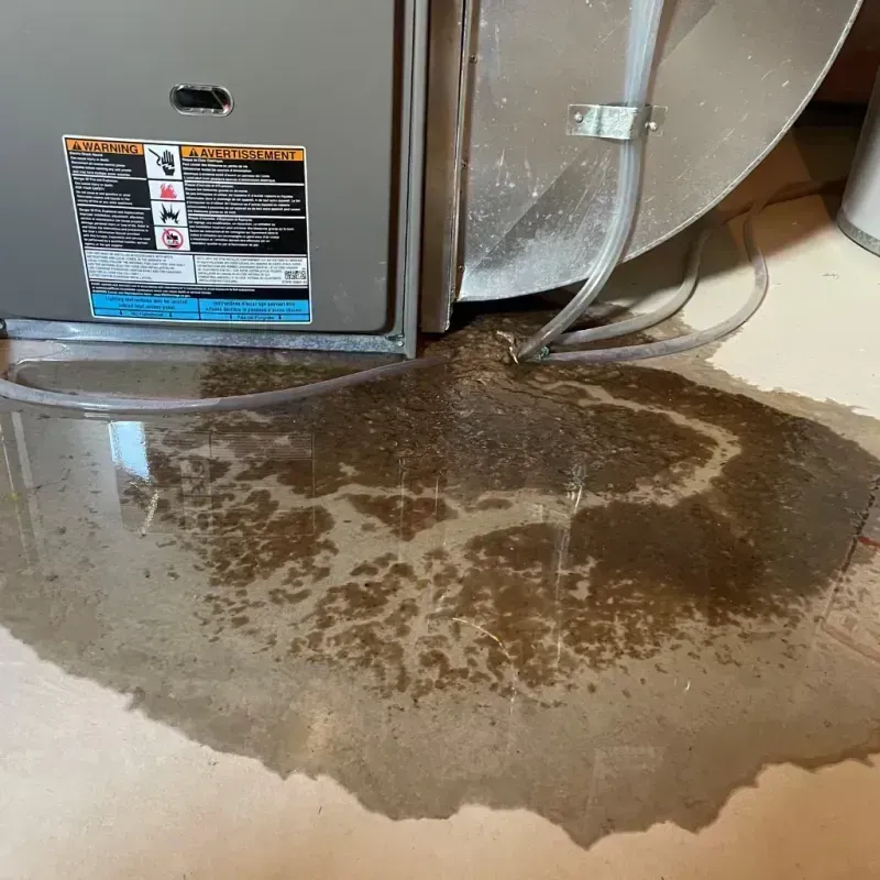 Appliance Leak Cleanup in Wauseon, OH